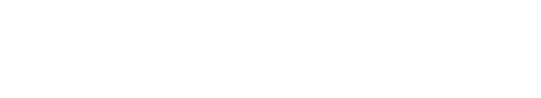 techrise logo